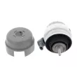 Support moteur CORTECO 49446192 - Visuel 1