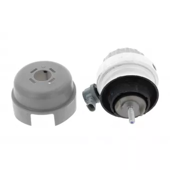 Support moteur CORTECO 49446192
