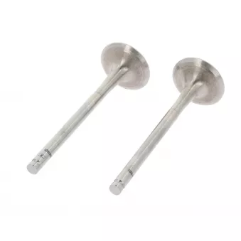 Soupape d'échappement CORTECO 550889B