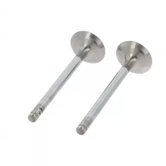 Soupape d'échappement CORTECO 550983B