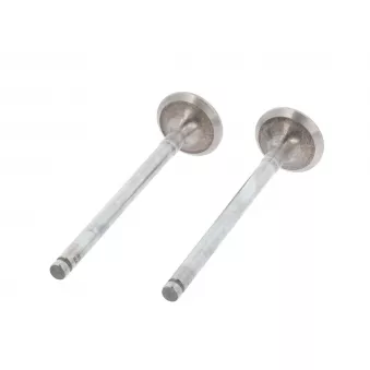Soupape d'échappement CORTECO 551148B