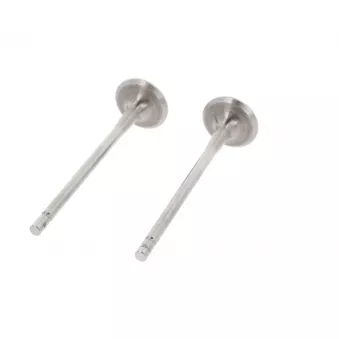 Soupape d'échappement CORTECO 551724B