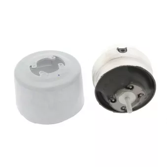 Support moteur CORTECO