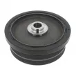 Poulie, vilebrequin CORTECO 80000374 - Visuel 2