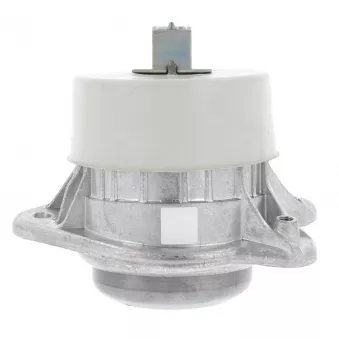 Support moteur CORTECO 80005157