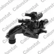 Thermostat d'eau CALORSTAT BY VERNET TE7269.102J - Visuel 2