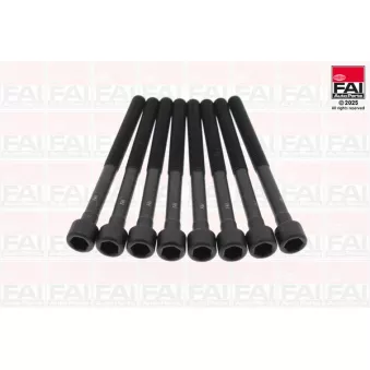 Jeu de boulons de culasse de cylindre FAI AutoParts B2301
