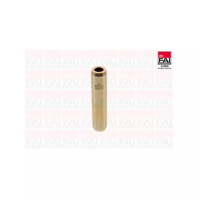 Guide de soupape FAI AutoParts BFG3315