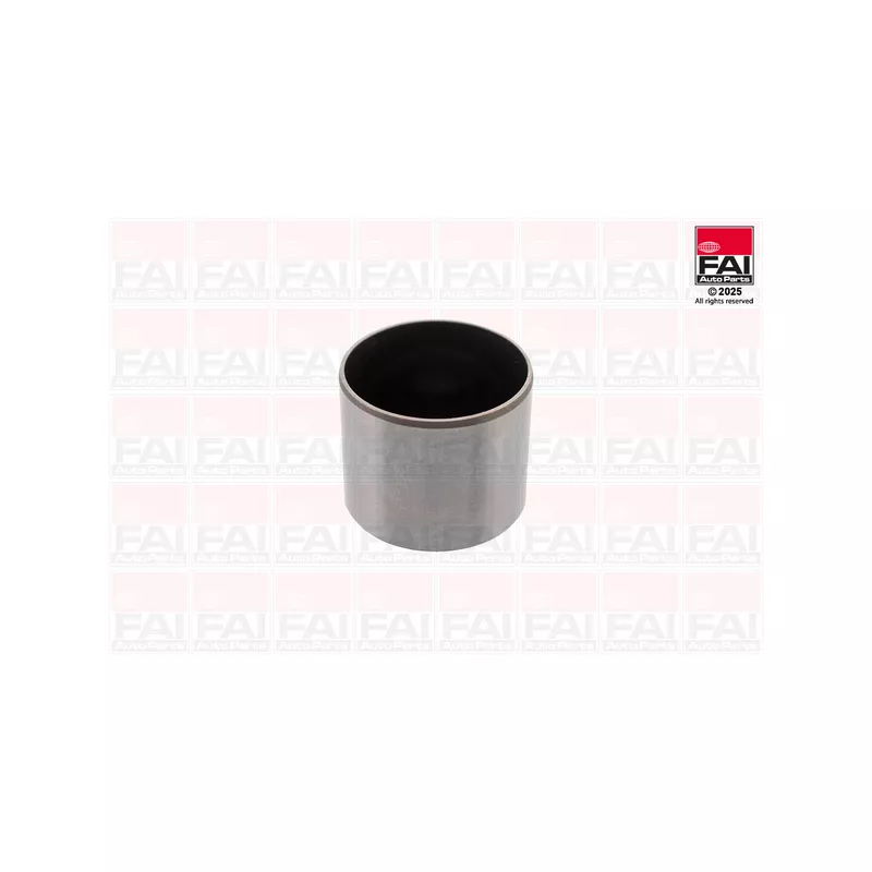 Poussoir de soupape FAI AutoParts BFS471S