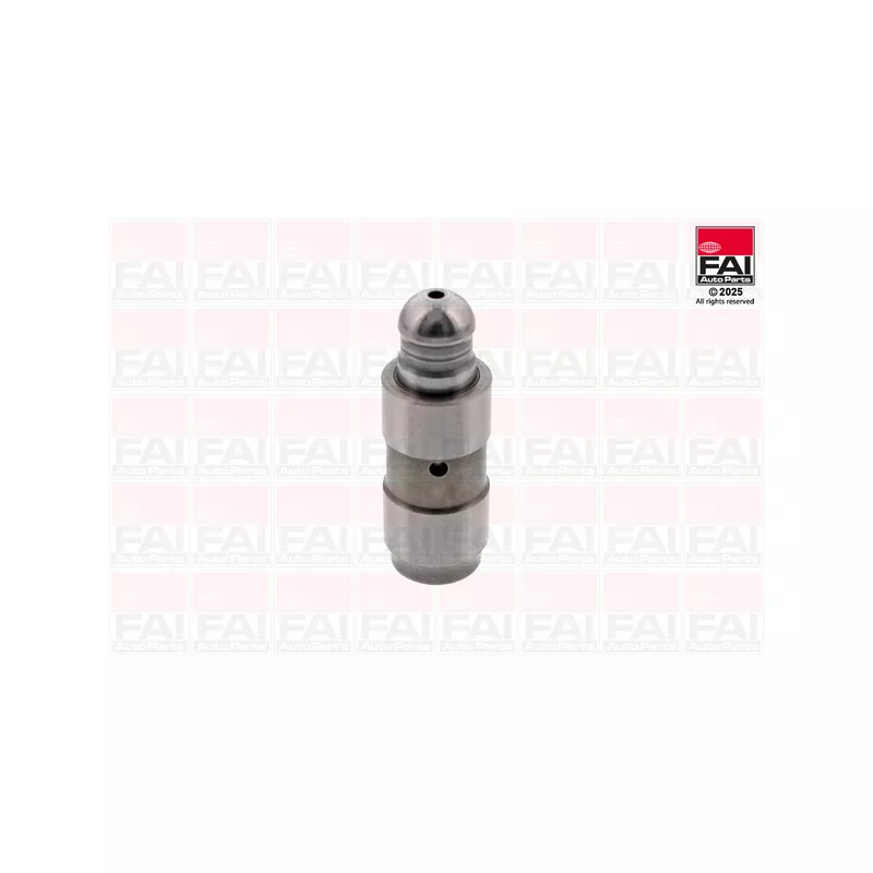 Poussoir de soupape FAI AutoParts BFS481S