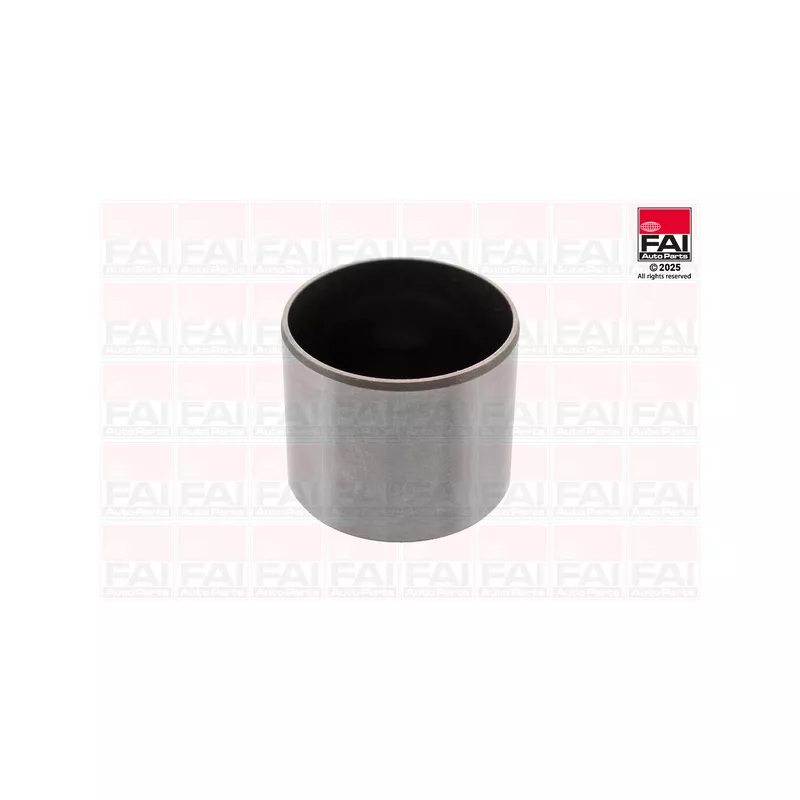 Poussoir de soupape FAI AutoParts BFS548S