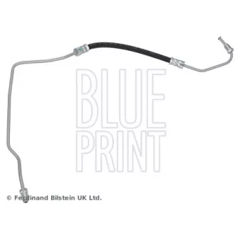 Flexible de frein arrière droit BLUE PRINT