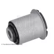 Suspension, bras de liaison BLUE PRINT ADBP800231 - Visuel 2