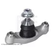 Rotule de suspension avant BLUE PRINT ADBP860254 - Visuel 1