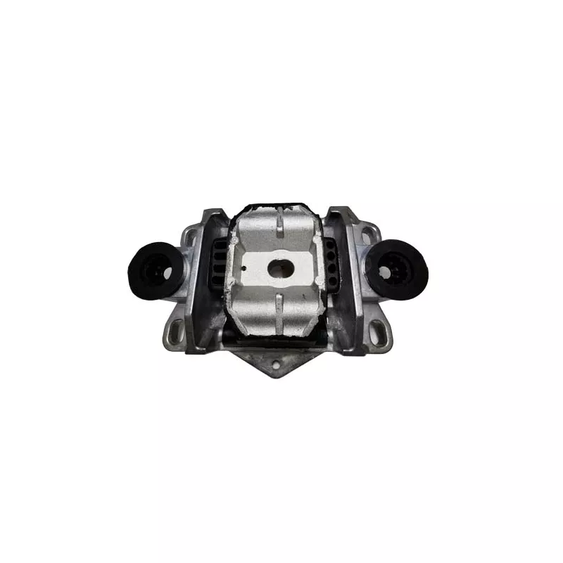 Support moteur DÜRER SM4007