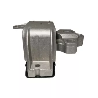 Support moteur DÜRER SM8053