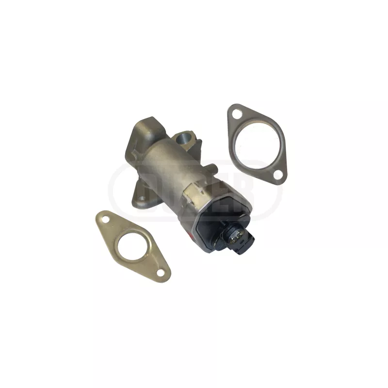 Vanne EGR DÜRER VR21131