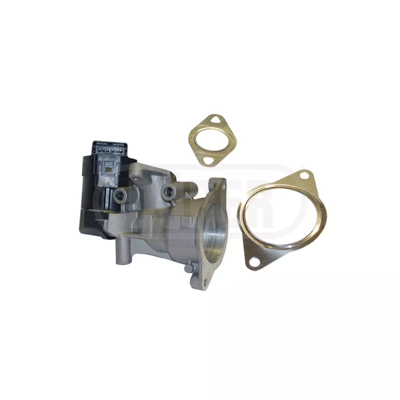 Vanne EGR DÜRER VR21144