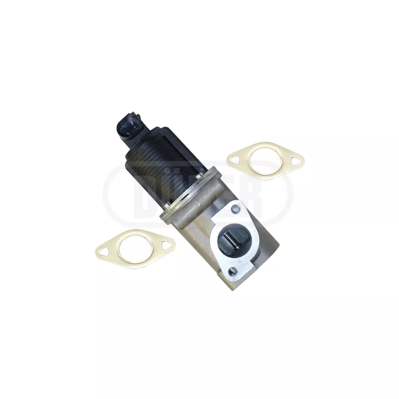 Vanne EGR DÜRER VR31117
