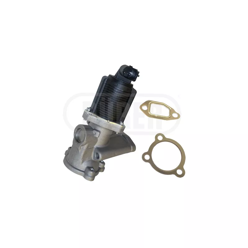 Vanne EGR DÜRER VR31121