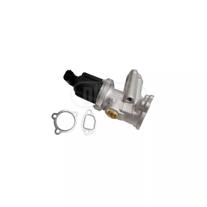 Vanne EGR DÜRER VR31147
