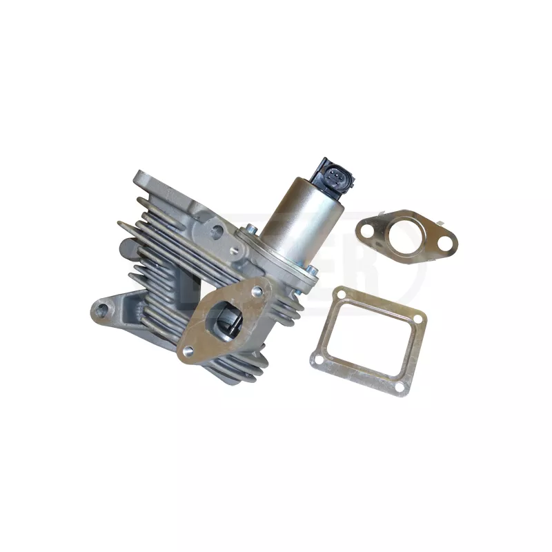 Vanne EGR DÜRER VR61114