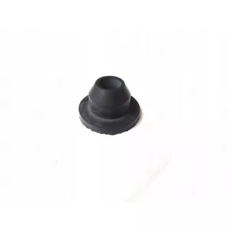 Joint d'étanchéité pompe lave glace OE