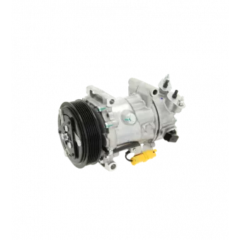 Compresseur, climatisation BV PSH 090.225.011.876