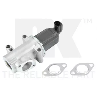 Vanne EGR NK 4510001