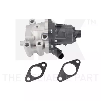 Vanne EGR NK 4510003