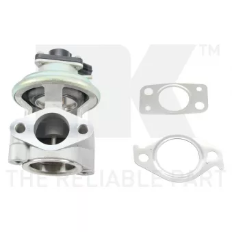 Vanne EGR NK 4530001
