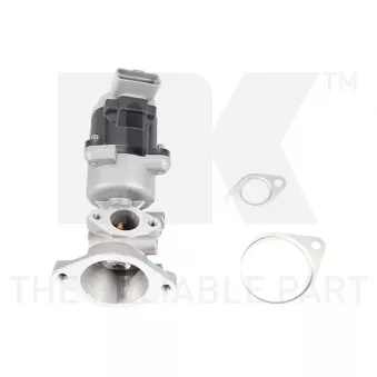 Vanne EGR NK 4540002