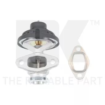 Vanne EGR NK 4547005