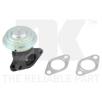 Vanne EGR NK 4547007