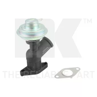 Vanne EGR NK 4599004