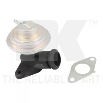 Vanne EGR NK 4599008