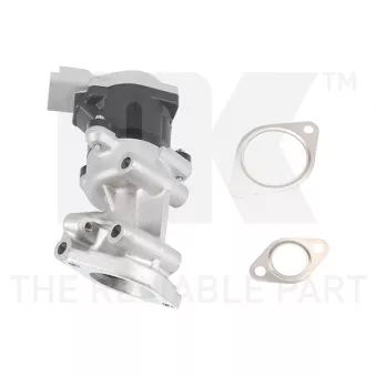 Vanne EGR avant gauche NK 4599022