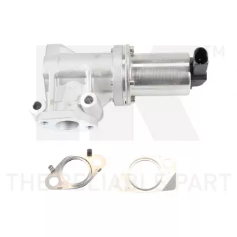 Vanne EGR NK 4599033