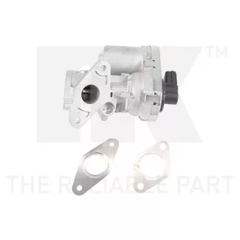 Vanne EGR NK 4599038