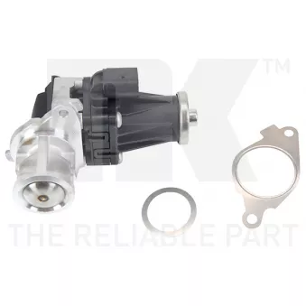 Vanne EGR NK 4599047