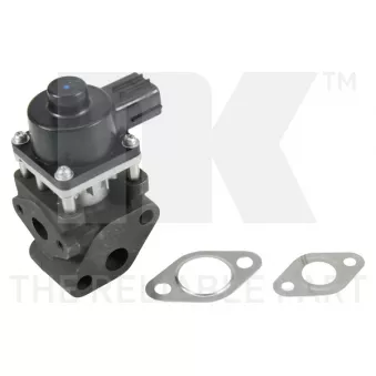 Vanne EGR NK 4599057