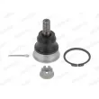 Rotule de suspension MOOG ME-BJ-17468 - Visuel 1