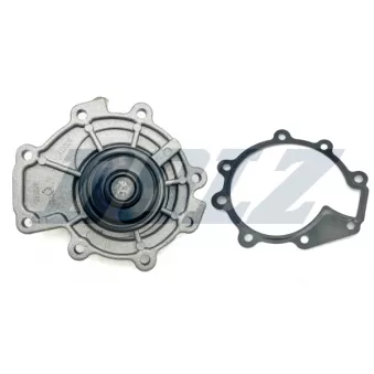 Pompe à eau DOLZ F208
