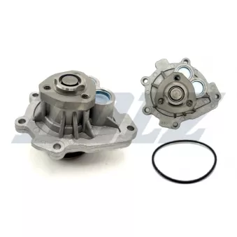 Pompe à eau DOLZ O263
