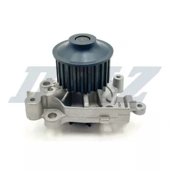 Pompe à eau DOLZ R301
