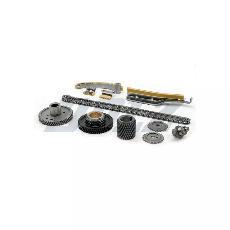 Kit de distribution par chaîne DOLZ SKCM165