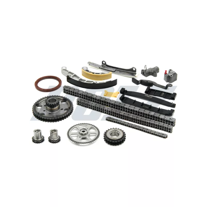 Kit de distribution par chaîne DOLZ SKCN196