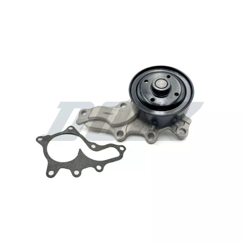 Pompe à eau DOLZ T260