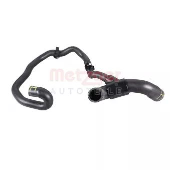 Durite de radiateur METZGER 2422319