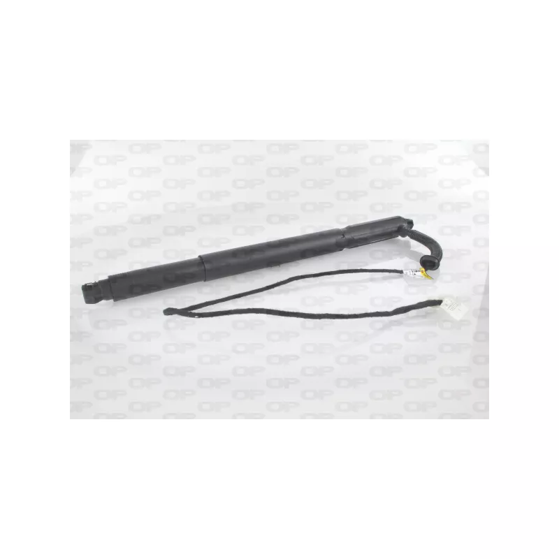 Moteur électrique, hayon OPEN PARTS GSE7007.01